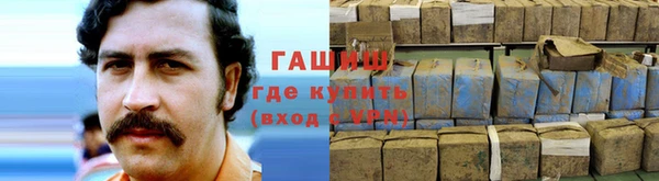 гидра Бородино