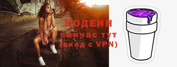 гидра Бородино