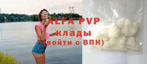 гидра Бородино