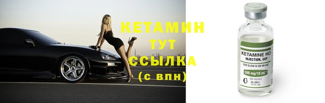 гидра Бородино