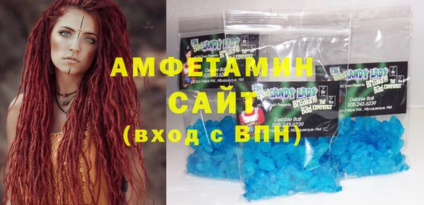гидра Бородино