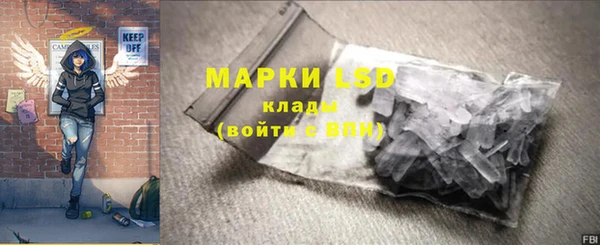гидра Бородино